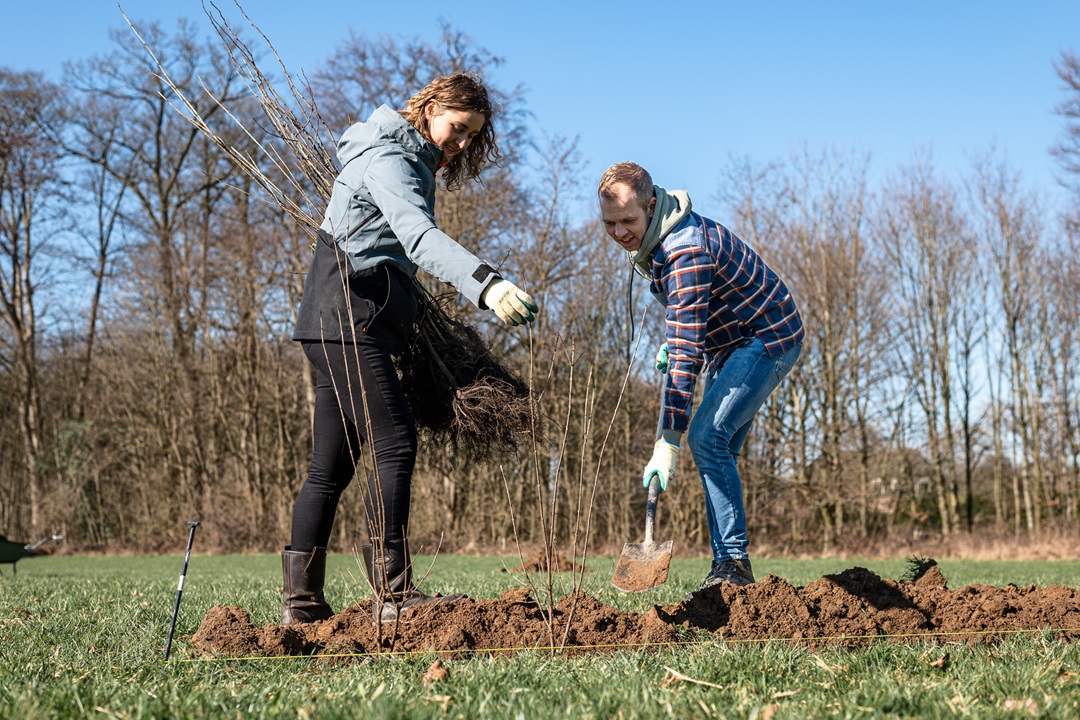 Doe mee met beplantingsproject Maak je erf goed Gelderland